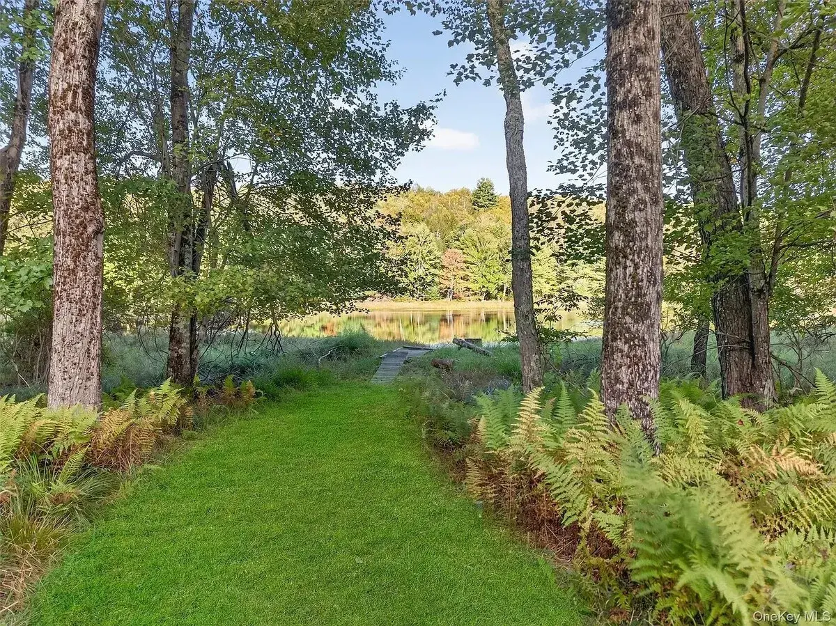 A mown path through ferns to the lake
