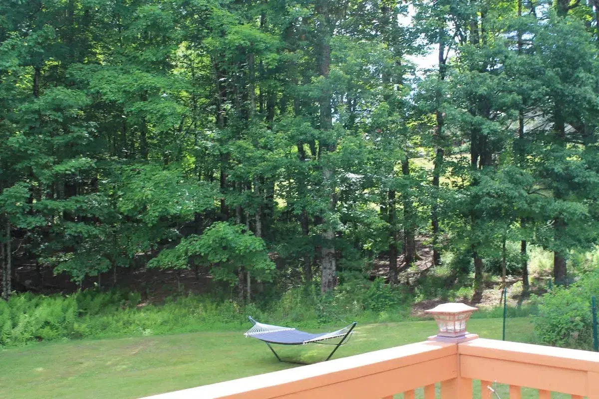 A hammock on the lawn