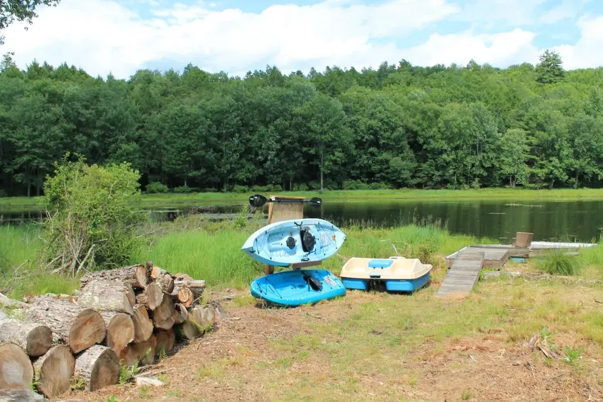 Kayaks and a pedal boat at the shore